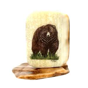 Bear Scrimshaw Artwork Fossil Ivory, Alaska Mint