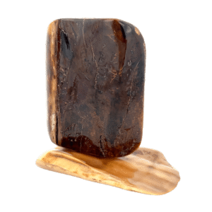 Bear Scrimshaw Artwork Fossil Ivory, Alaska Mint