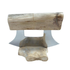 Sun Bleached Moose Antler Ulu Knife, Alaska Mint