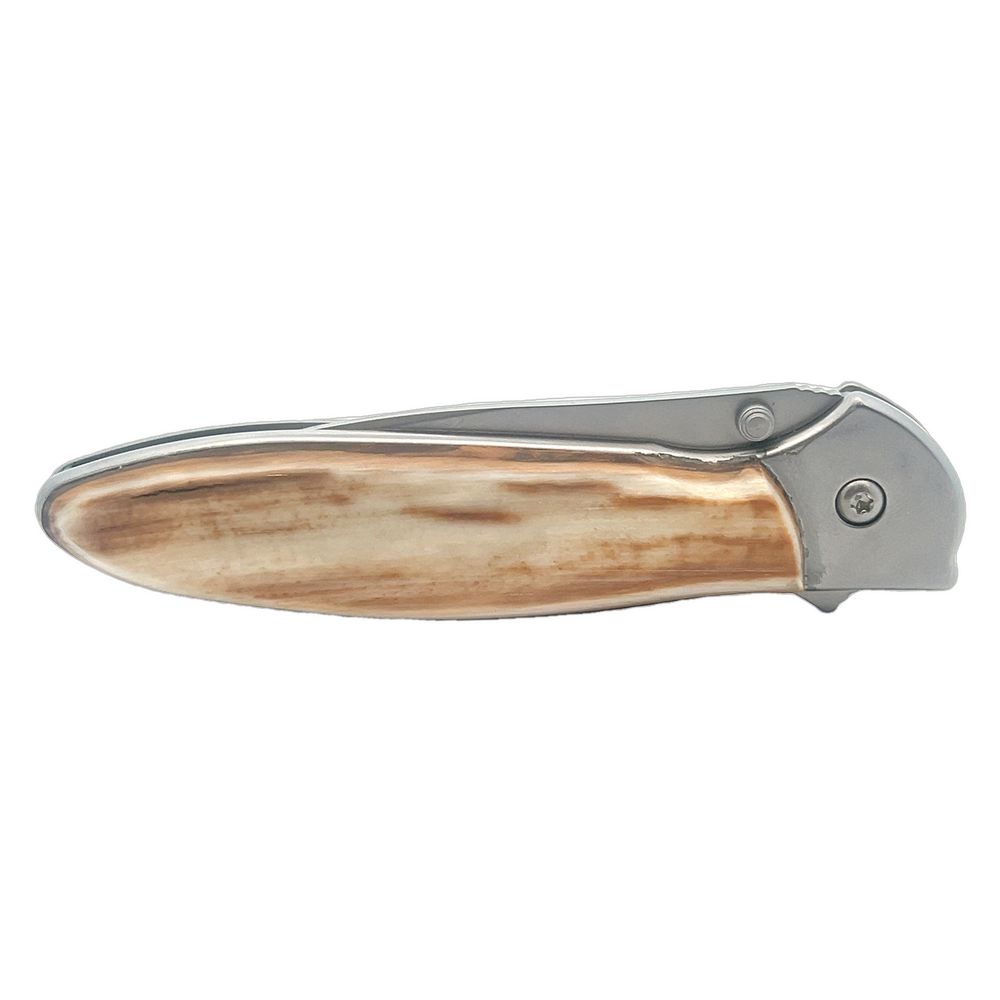4" Kershaw Mammoth Ivory Clip Style Pocket Knife, Alaska Mint