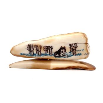 Wolf Laying Scrimshaw Artwork Fossil Ivory, Alaska Mint