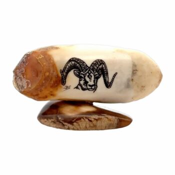 Ram Scrimshaw Artwork Fossil Ivory, Alaska Mint