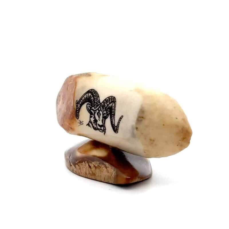 Ram Scrimshaw Artwork Fossil Ivory, Alaska Mint