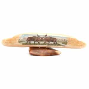 Rutting Moose Scrimshaw Artwork Fossil Ivory, Alaska Mint