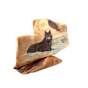 Laying Wolf Scrimshaw Artwork Fossil Ivory, Alaska Mint