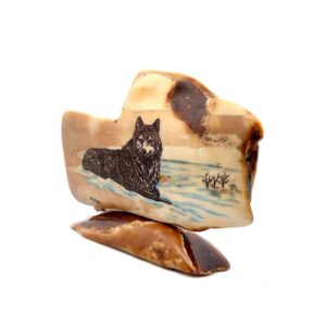 Laying Wolf Scrimshaw Artwork Fossil Ivory, Alaska Mint