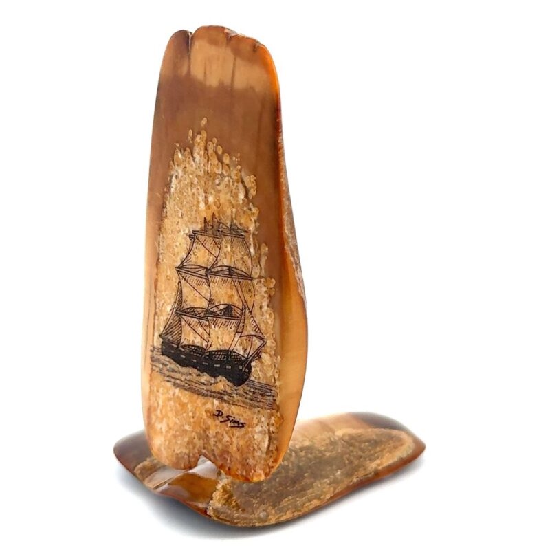 Ship Sailing Scrimshaw Artwork Fossil Ivory, Alaska Mint