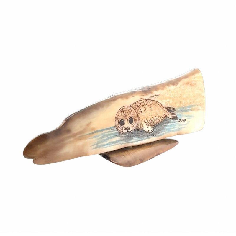 Baby Seal Scrimshaw Artwork Fossil Ivory, Alaska Mint