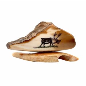 Lone Caribou Scrimshaw Artwork Fossil Ivory, Alaska Mint