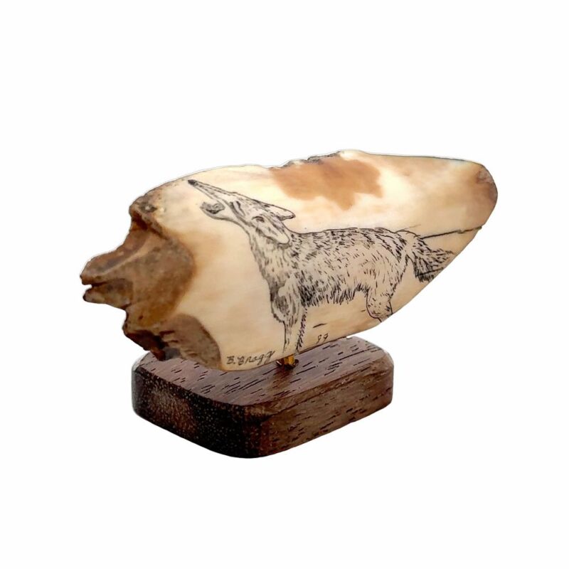 Howling Wolf Scrimshaw Artwork Fossil Ivory, Alaska Mint