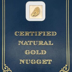 2.5 Gram Natural Gold Nugget from Chicken, Alaska