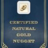 2.6 Gram Natural Gold Nugget from Chicken, Alaska