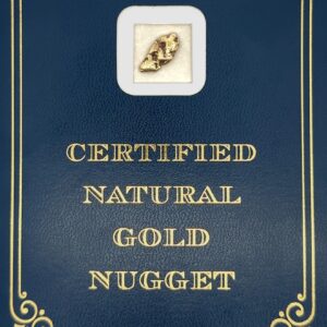 2.6 Gram Natural Gold Nugget from Chicken, Alaska