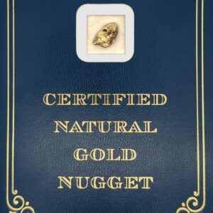 3.0 Gram Natural Gold Nugget from Chicken, Alaska