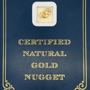 1.9 Gram Natural Gold Nugget from Chicken, Alaska, Alaska Mint