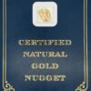 2.7 Gram Natural Gold Nugget from Eagle Alaska, Alaska Mint