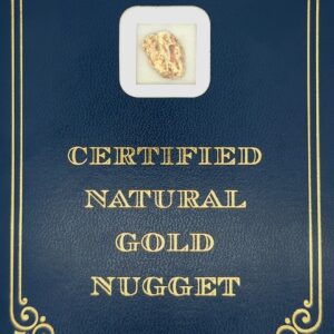 2.7 Gram Natural Gold Nugget from Eagle Alaska, Alaska Mint