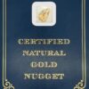2.7 Gram Natural Gold Nugget from Moose Creek Alaska, Alaska Mint