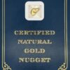 3.2 Gram Natural Gold Nugget from Chicken Alaska, Alaska Mint