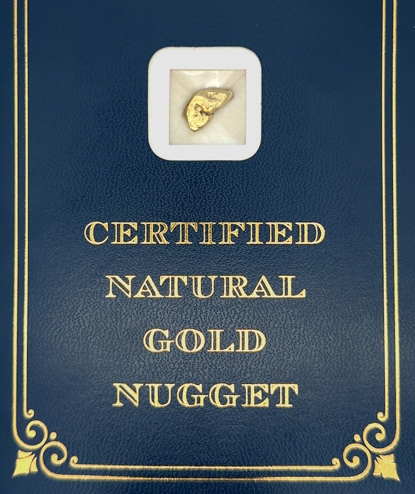 3.2 Gram Natural Gold Nugget from Chicken Alaska, Alaska Mint