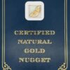 3.5 Gram Natural Gold Nugget from Chicken Alaska, Alaska Mint