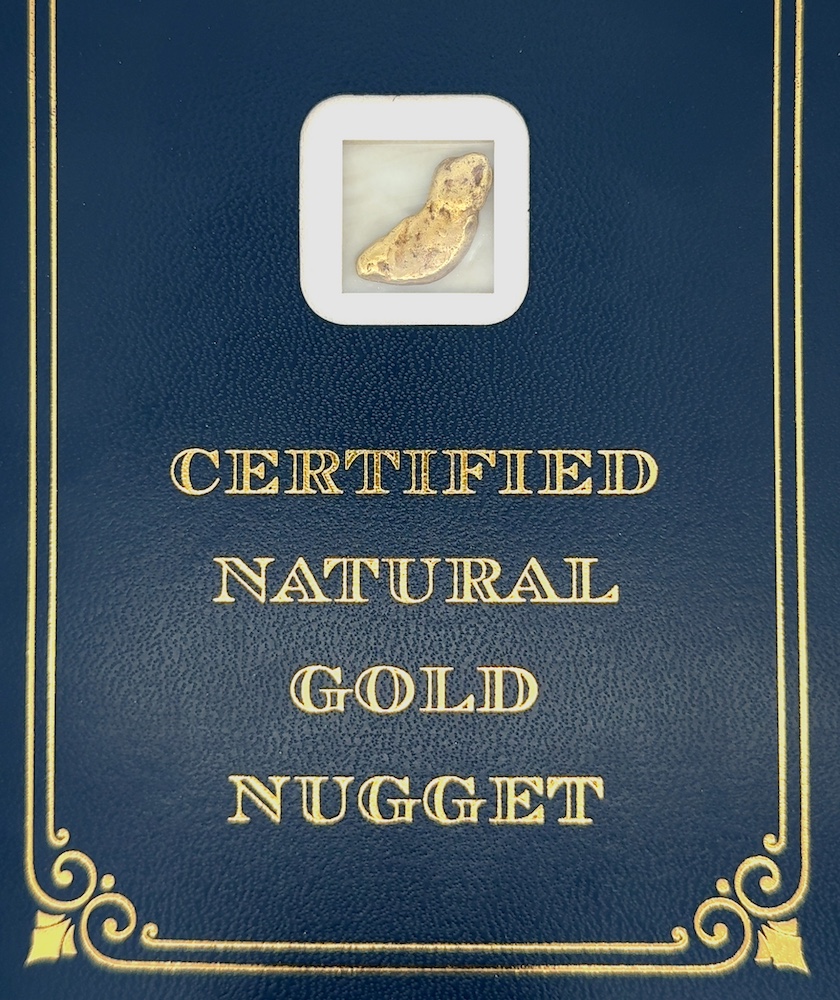3.5 Gram Natural Gold Nugget from Chicken Alaska, Alaska Mint