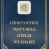 4.9 Gram Natural Gold Nugget from Eagle Alaska, Alaska Mint