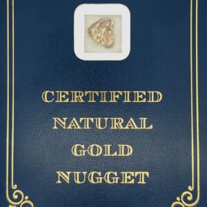 4.9 Gram Natural Gold Nugget from Eagle Alaska, Alaska Mint