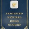3.8 Gram Natural Gold Nugget from Chicken Alaska, Alaska Mint