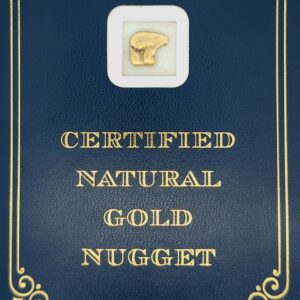 3.8 Gram Natural Gold Nugget from Chicken Alaska, Alaska Mint