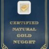 4.0 Gram Natural Gold Nugget from Chicken Alaska, Alaska Mint