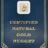 4.1 Gram Natural Gold Nugget from Nome Alaska, Alaska Mint