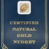 4.4 Gram Natural Gold Nugget from Moose Creek Alaska, Alaska Mint