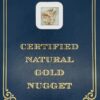 4.9 Gram Natural Gold Nugget from Eagle Alaska, Alaska Mint