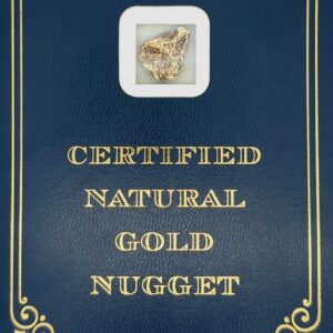 4.9 Gram Natural Gold Nugget from Eagle Alaska, Alaska Mint