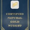 5.0 Gram Natural Gold Nugget from Eureka Alaska, Alaska Mint