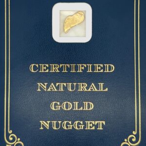 5.0 Gram Natural Gold Nugget from Eureka Alaska, Alaska Mint