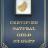 5.1 Gram Natural Gold Nugget from Moose Creek Alaska, Alaska Mint