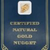 5.5 Gram Natural Gold Nugget from Moose Creek Alaska, Alaska Mint