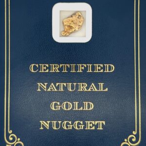 5.5 Gram Natural Gold Nugget from Moose Creek Alaska, Alaska Mint