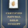 5.8 Gram Natural Gold Nugget from Moose Creek Alaska, Alaska Mint
