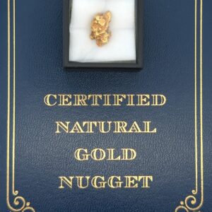 5.8 Gram Natural Gold Nugget from Moose Creek Alaska, Alaska Mint