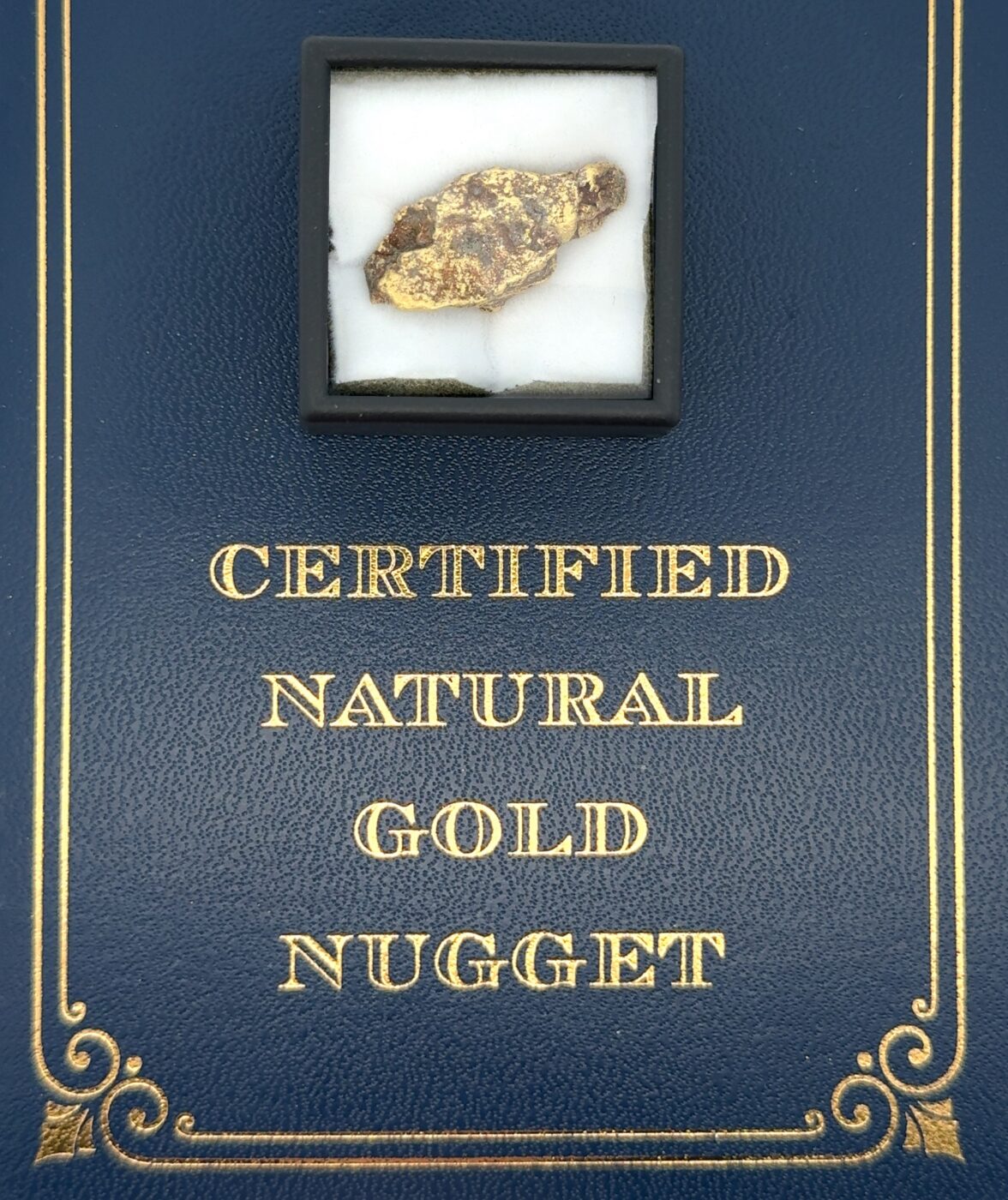 6.7 Gram Natural Gold Nugget from Eagle, Alaska, Alaska Mint