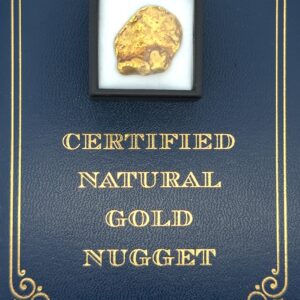 8.9 Gram Natural Gold Nugget from Chicken, Alaska, Alaska Mint