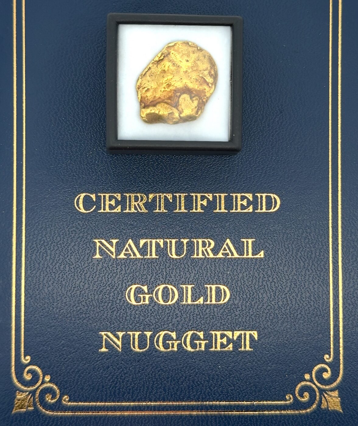 8.9 Gram Natural Gold Nugget from Chicken, Alaska, Alaska Mint