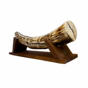 Mammoth Ivory 19 Inch, Alaska Mint