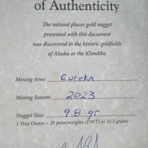 Snug 9.8 gram gold nugget from Eureka, Alaska