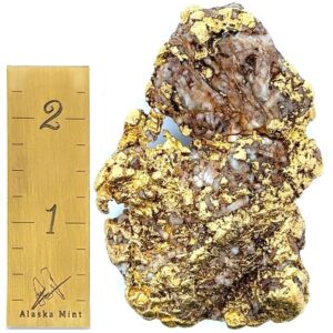 281.8 Gram Natural Gold Nugget from McGrath, Alaska