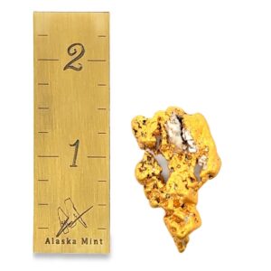 24.4 Gram Natural Gold Nugget from the Brooks Range, Alaska