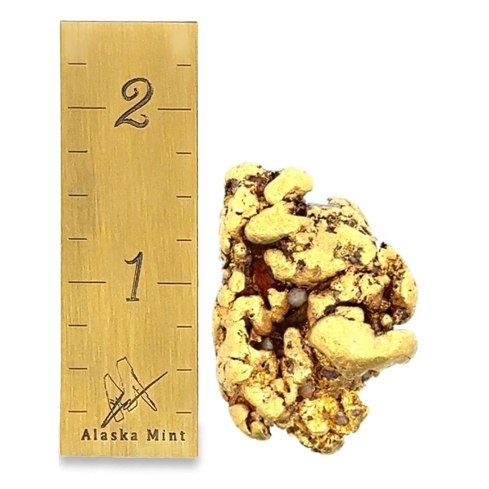 自然金 Gold nuggets アラスカ 34.8 Gram Natural Gold Nugget from Ophir, Alaska - Alaska Mint